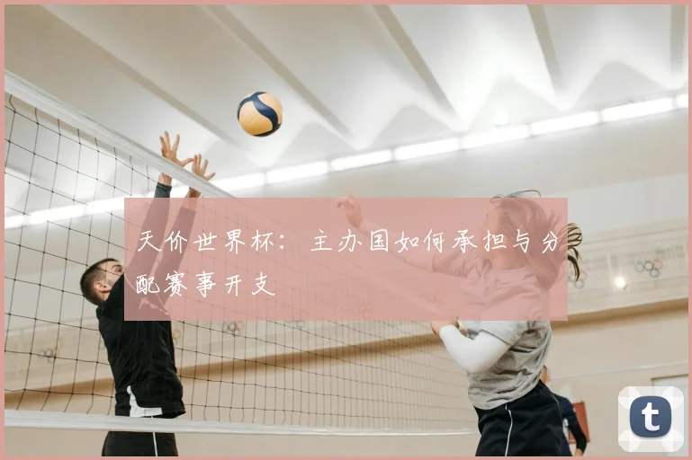 天价世界杯:主办国如何承担与分配赛事开支