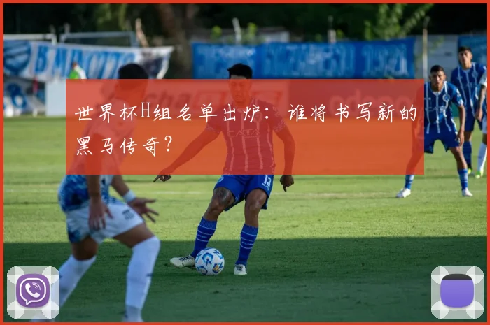 世界杯H组名单出炉：谁将书写新的黑马传奇？