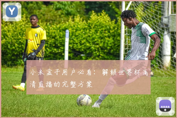 小米盒子用户必看：解锁世界杯高清直播的完整方案