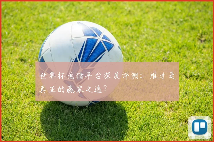 世界杯竞猜平台深度评测：谁才是真正的赢家之选？